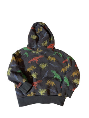 Deux Par Deux Dinosaur Hoodie Sweatshirt Toddler Boys Size 3T Dino Print
